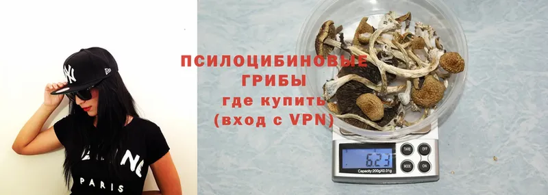 Псилоцибиновые грибы Psilocybine cubensis  купить закладку  Тюмень 